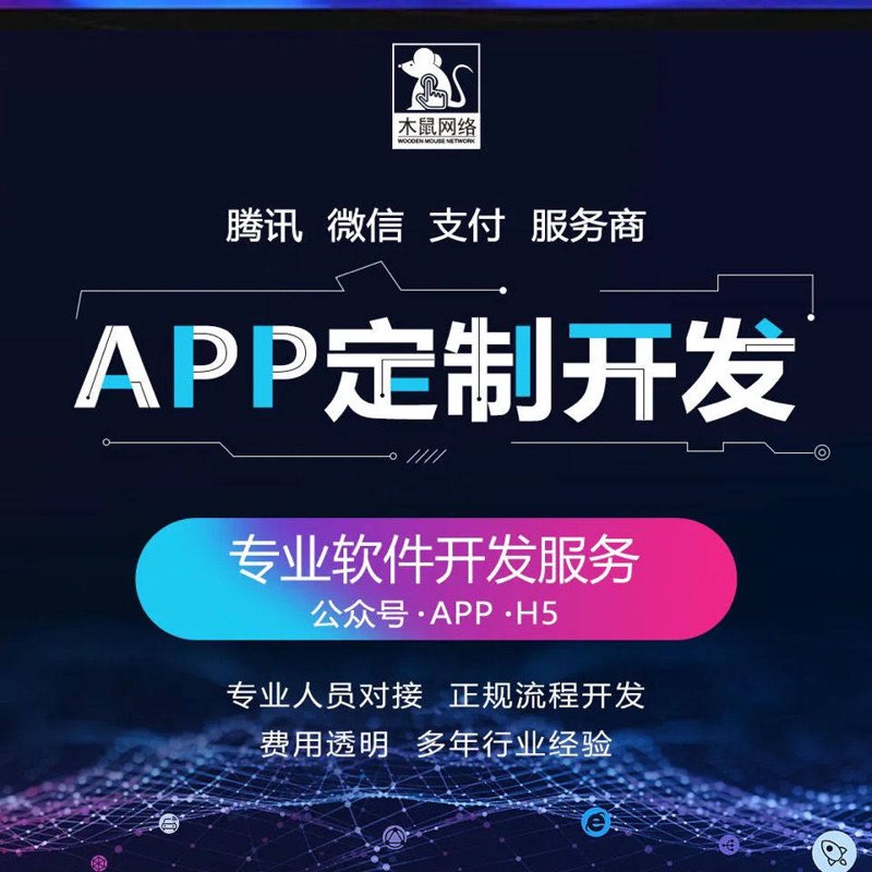 软件系统开发行业动态——构建未来之路