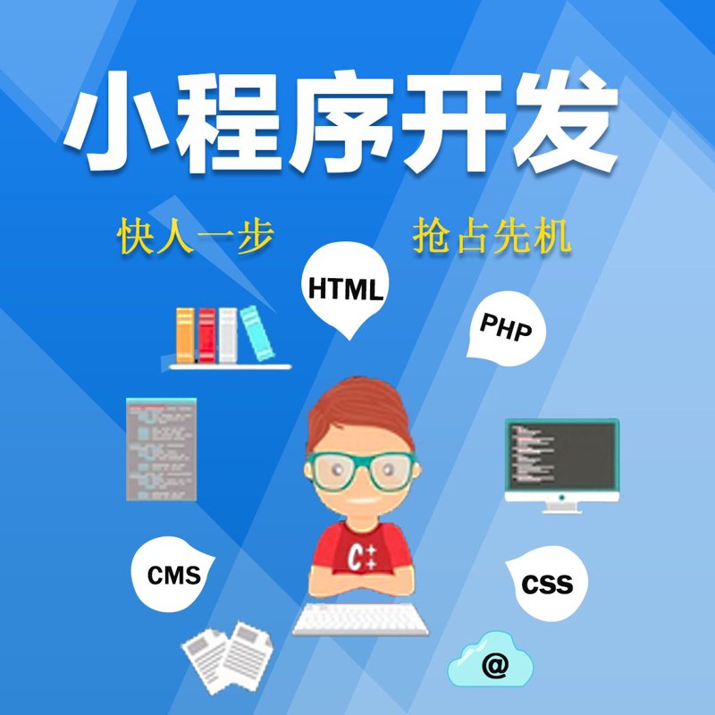数字时代：软件系统开发引领企业前行